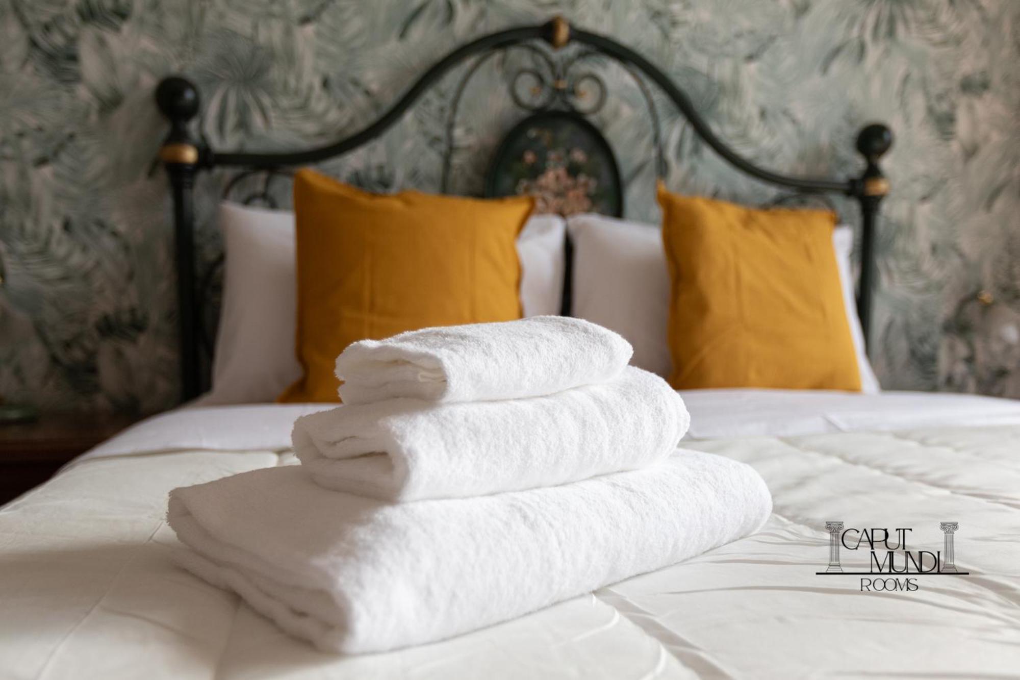 Caput Mundi Rooms - 100Mt To Metro A, Terrace, A-C, 15 Min To Center 로마 외부 사진
